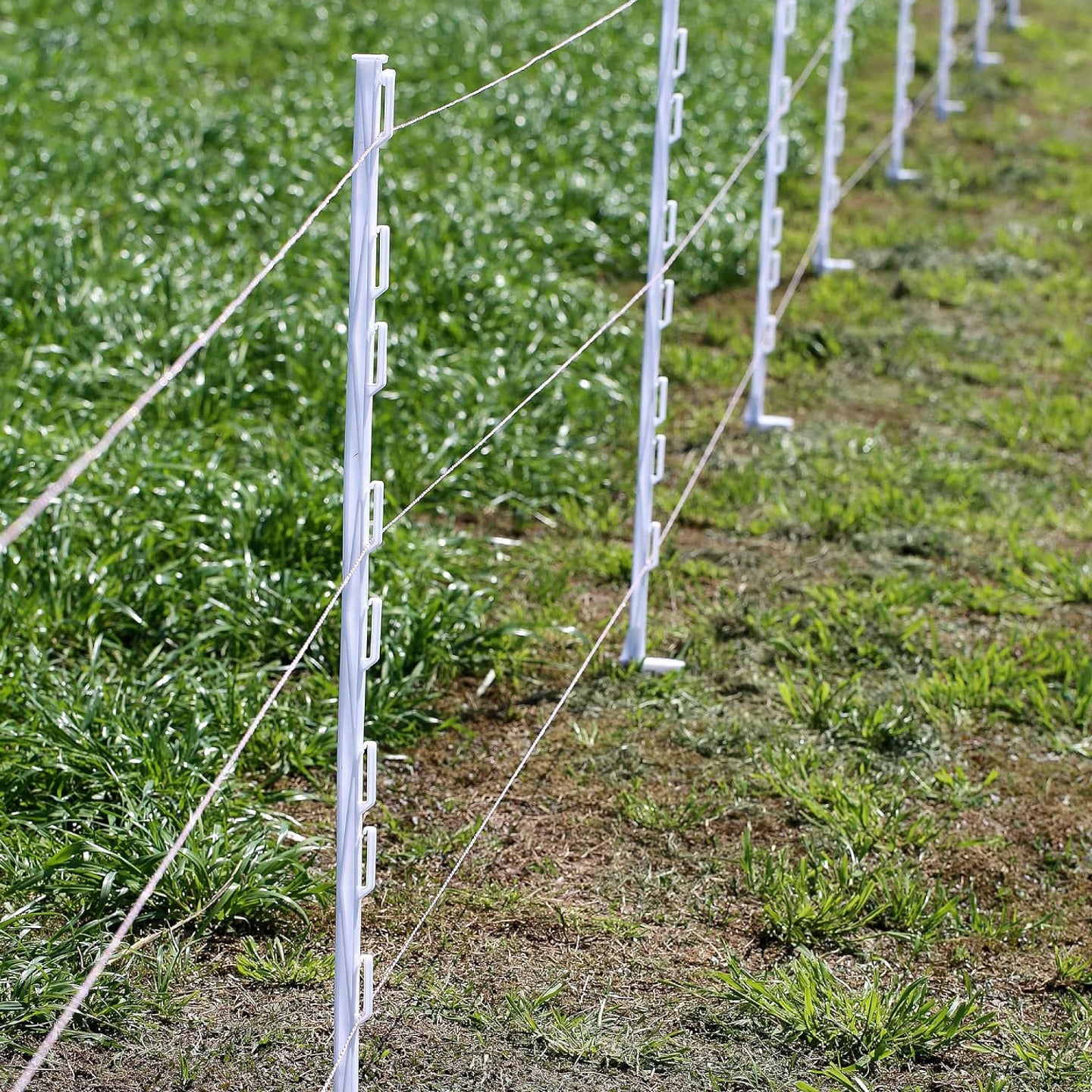 White Polypropylene Posts for Electric Fencing