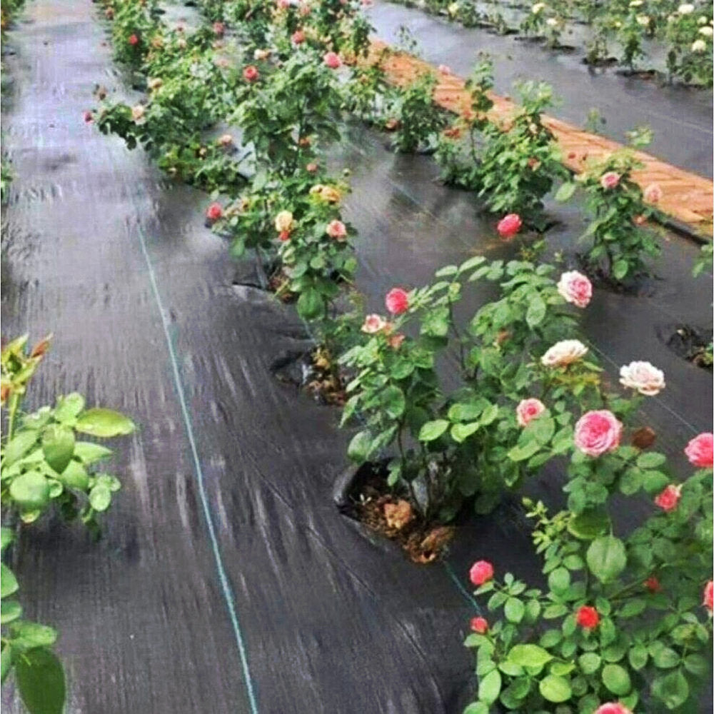 Heavy Duty Weed Control Fabric 100gsm