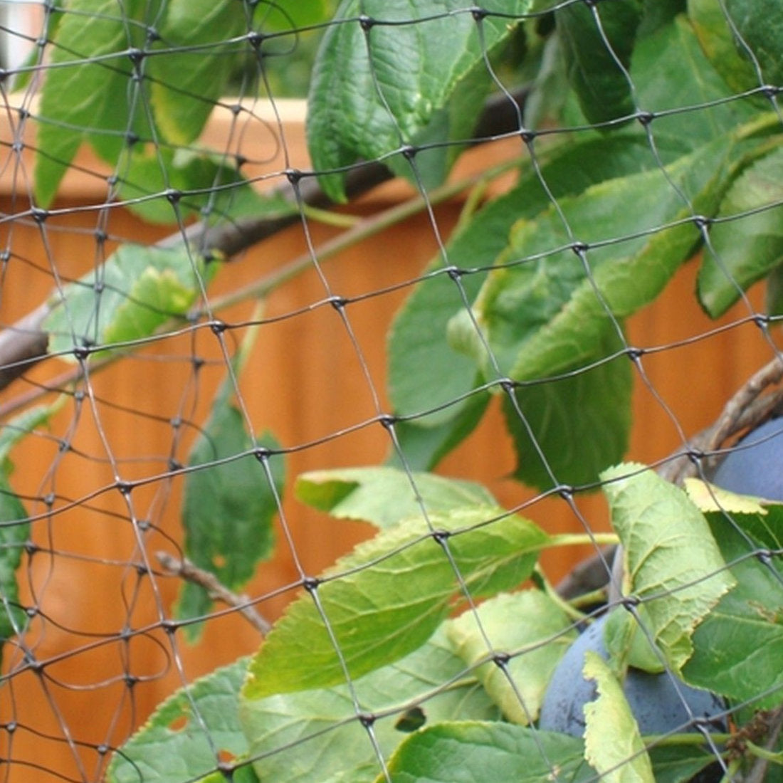 Fruit & Cage Protection Mesh