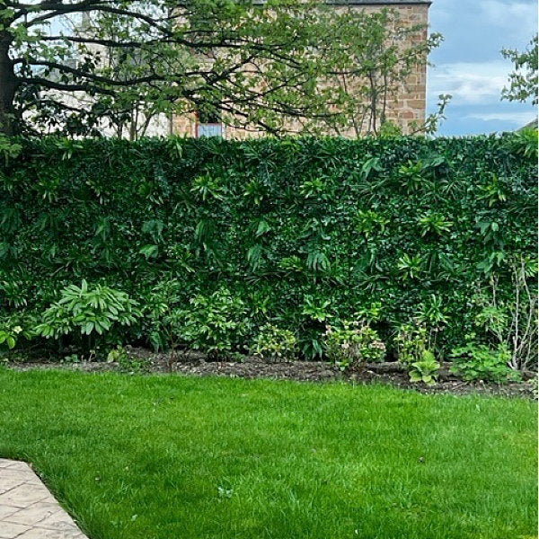 Artificial Forest Fern Green Wall Panel 1m x 1m - Customer Hedge