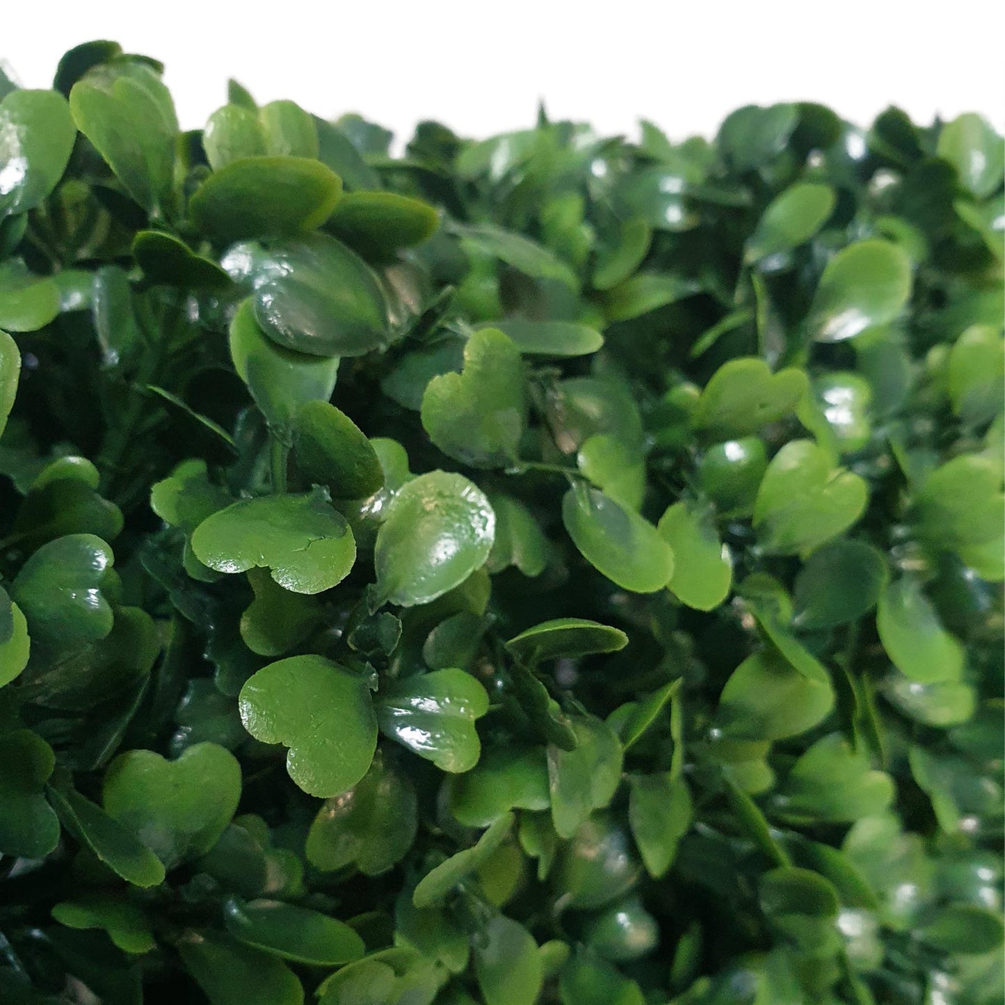 Freestanding Artificial Boxwood Hedge 158cm x 56cm
