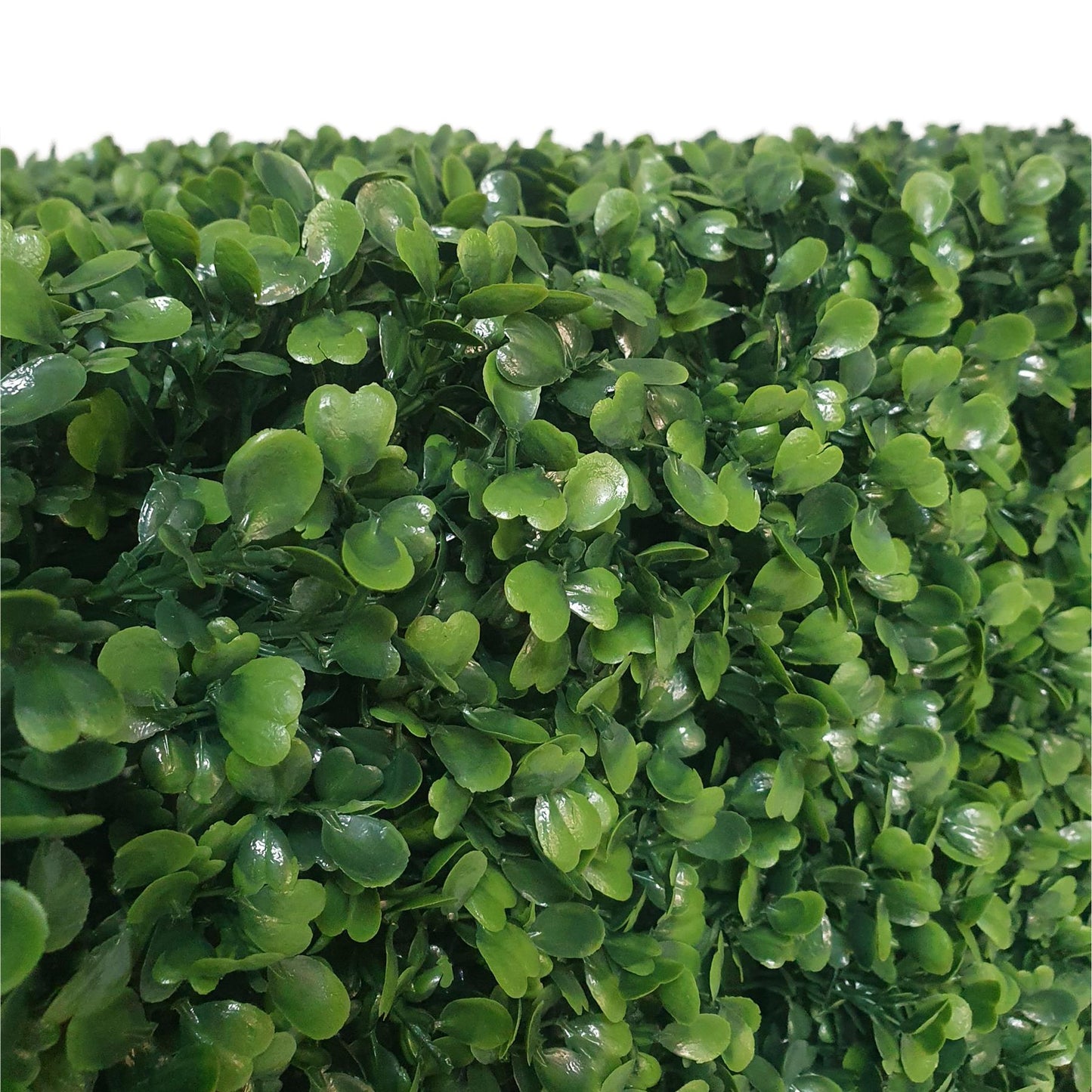 Freestanding Artificial Boxwood Hedge 158cm x 56cm