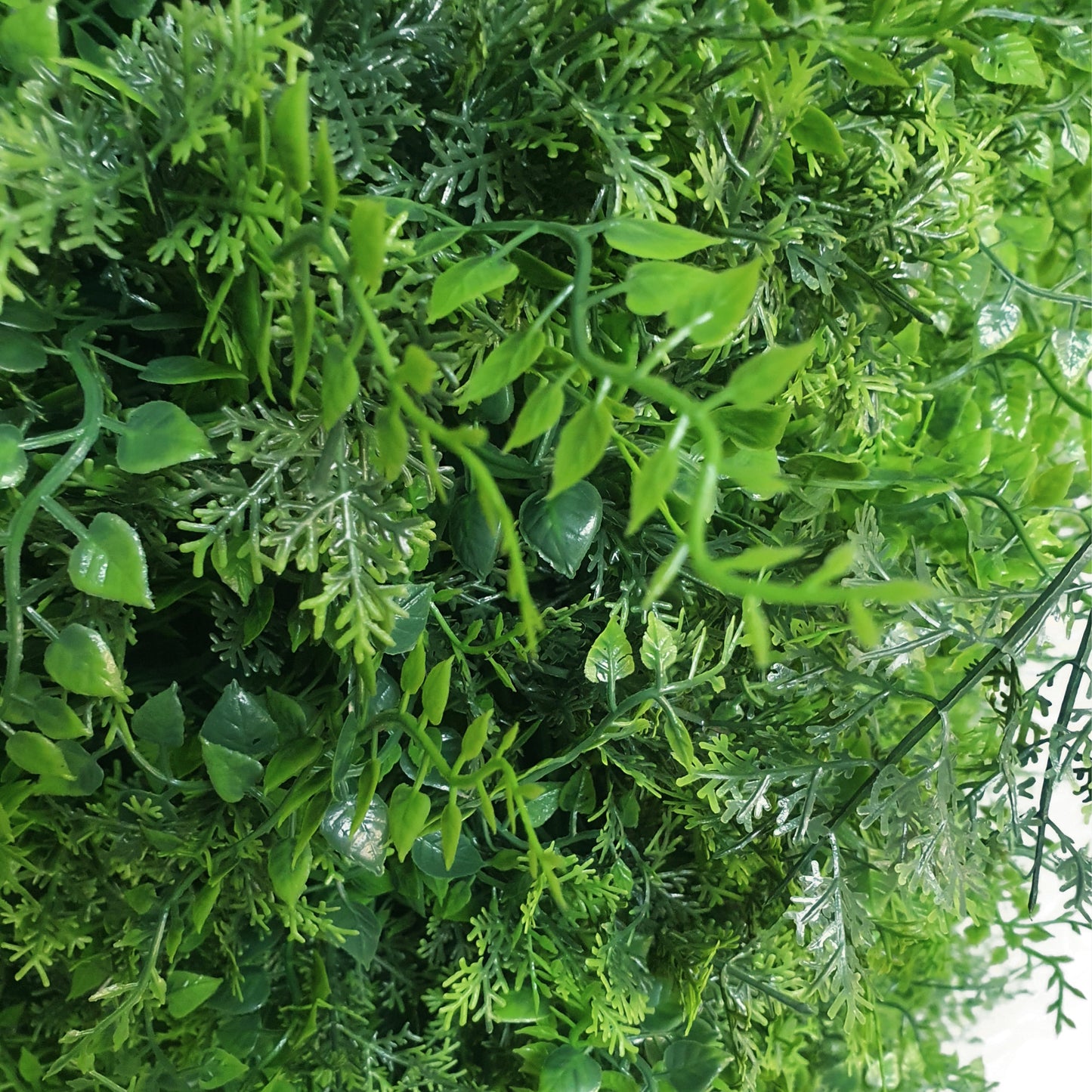 Freestanding Artificial Fern Hedge