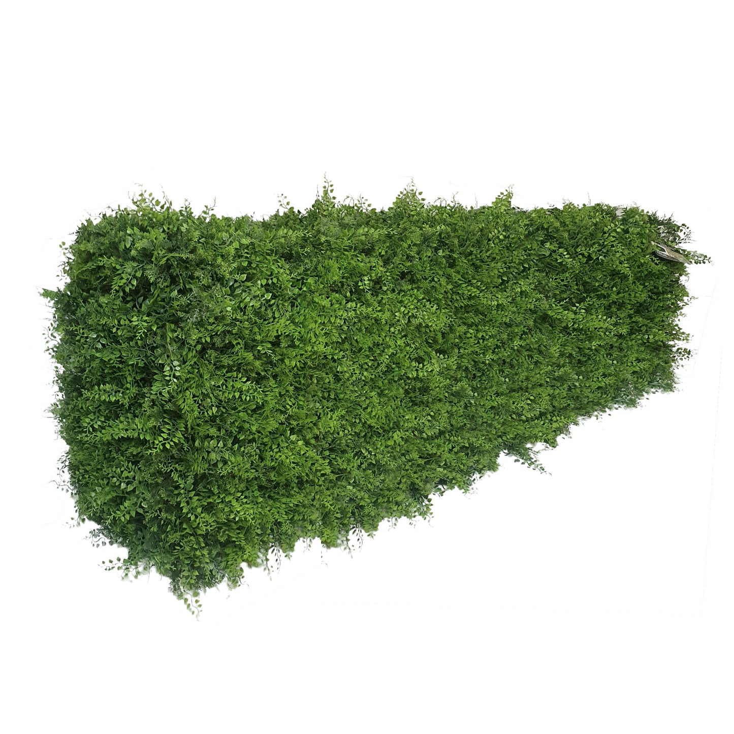 Freestanding Artificial Fern Hedge 158cm x 56cm
