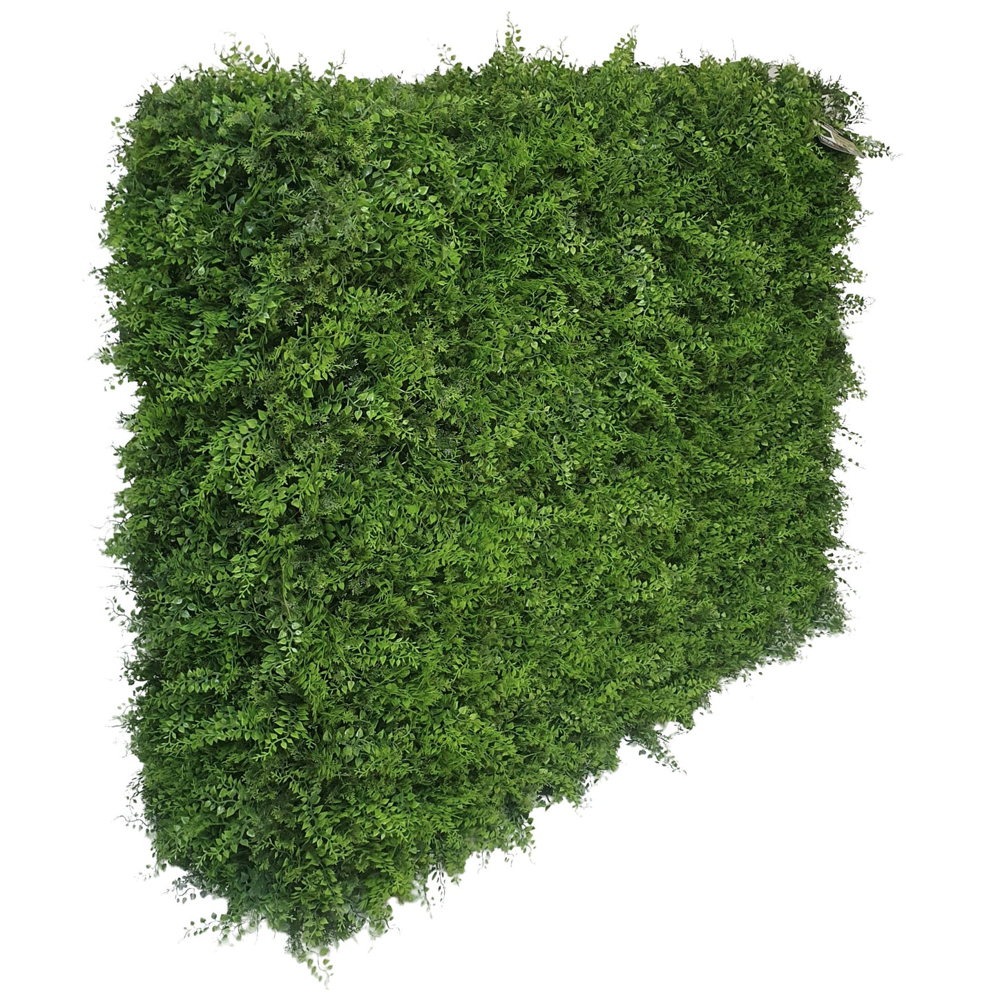 Freestanding Artificial Fern Hedge 106cm x 108cm