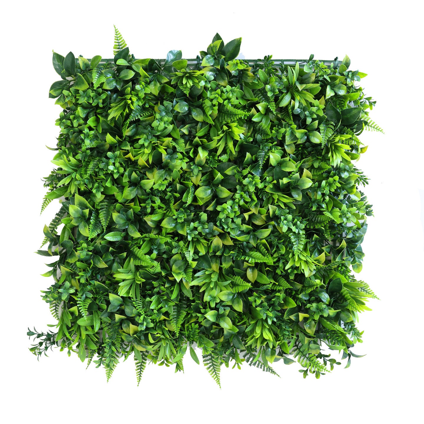 Premium Artificial Green Fern Living Wall Panel 50 x 50cm