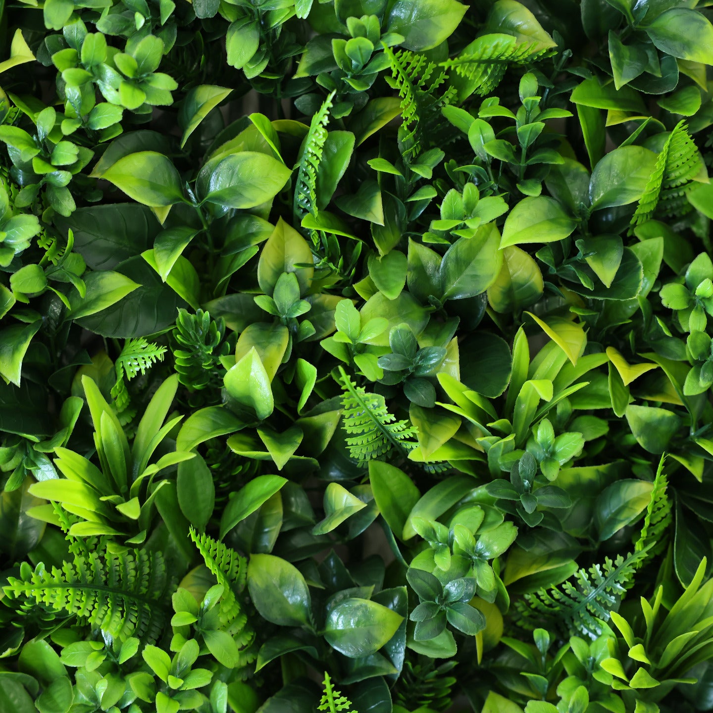 Premium Artificial Green Fern Living Wall Panel 50 x 50cm