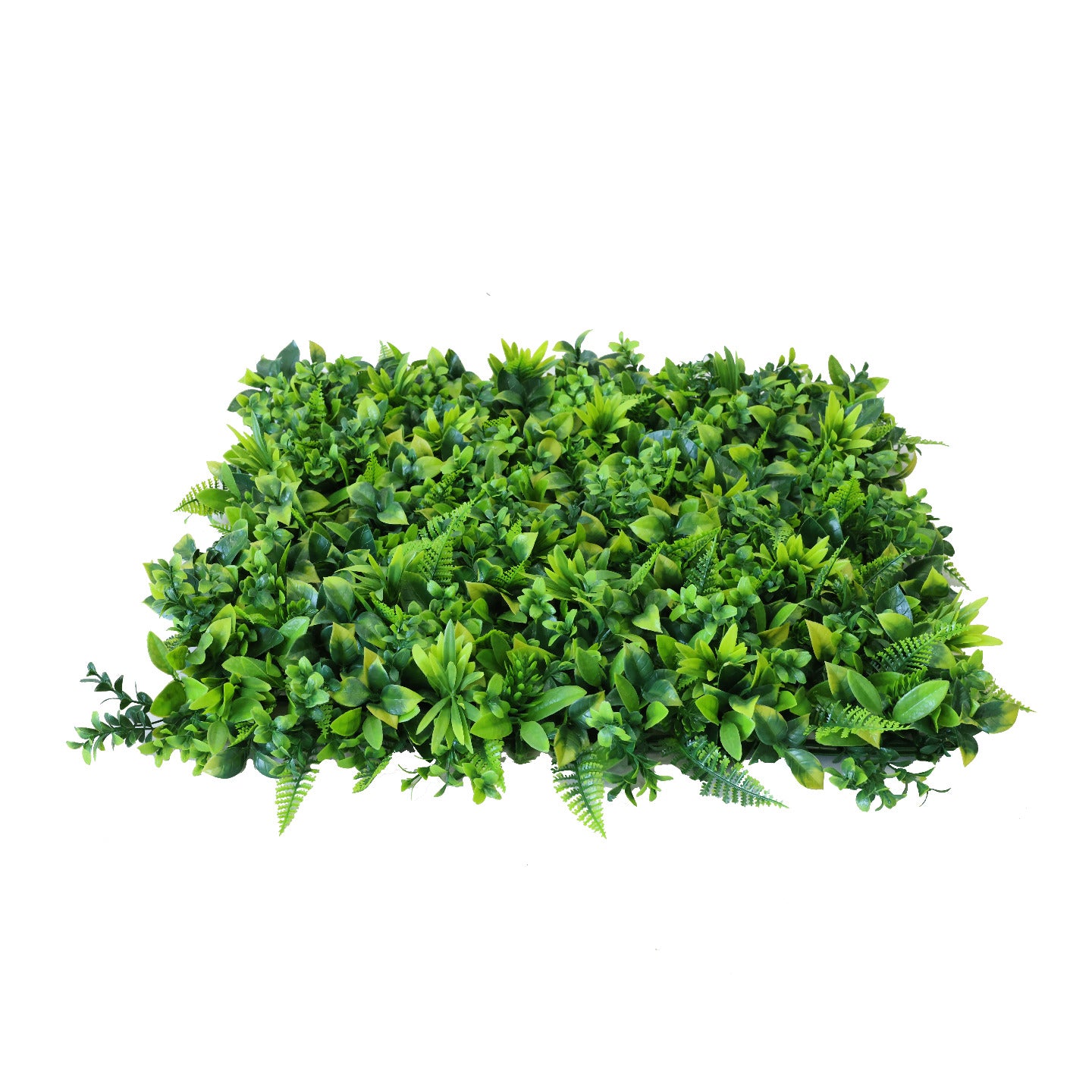 Premium Artificial Green Fern Living Wall Panel 50 x 50cm