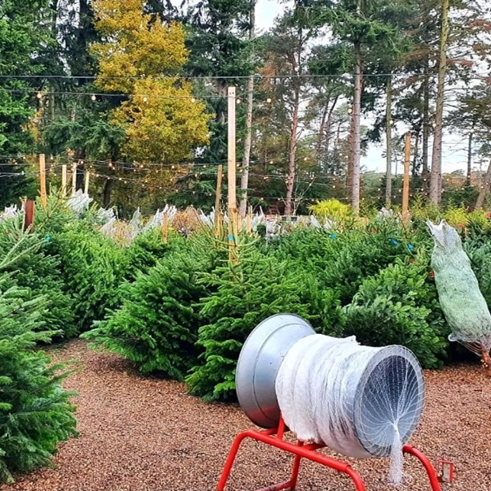 BioXnet Oxo-Biodegradable Christmas Tree Netting 2000m Bale – Premier ...