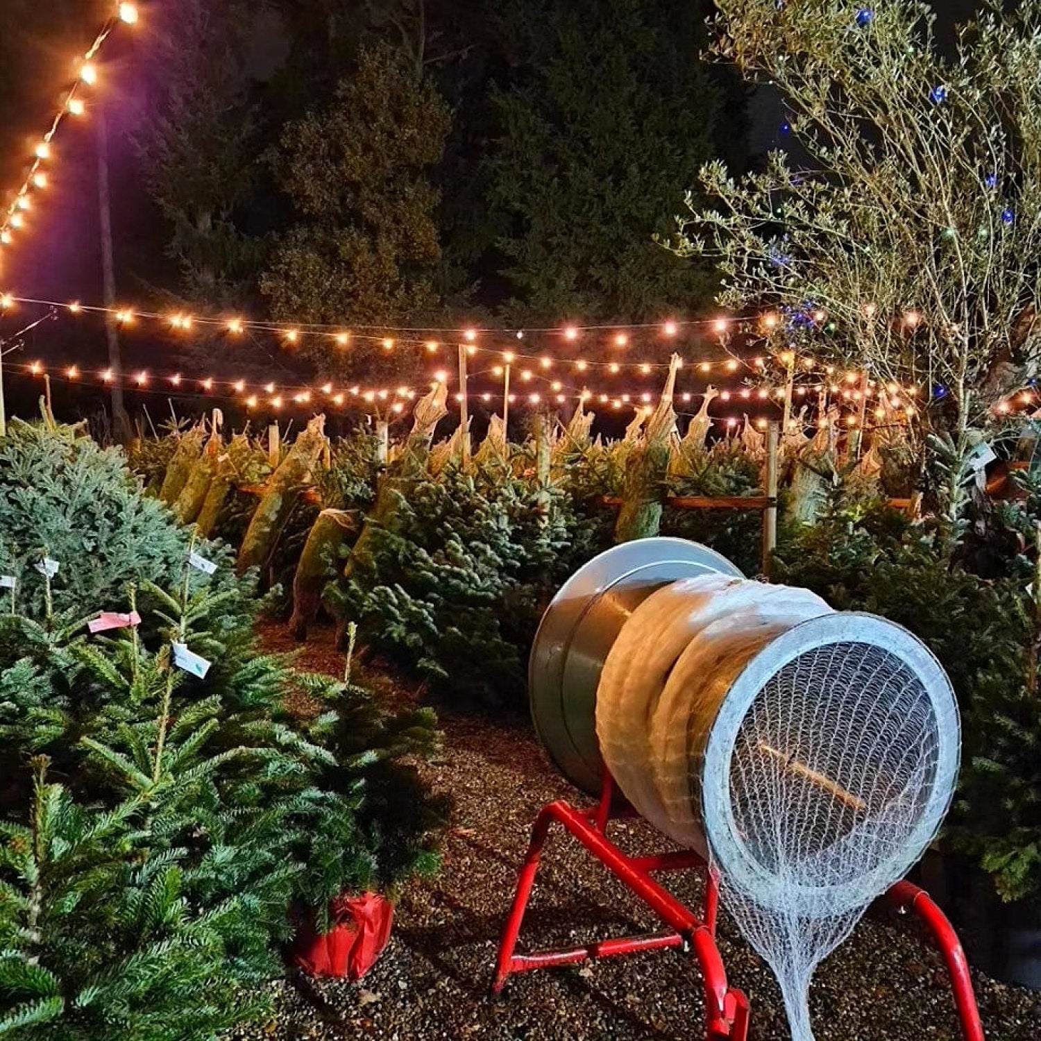 Christmas Tree Netting Funnel in use