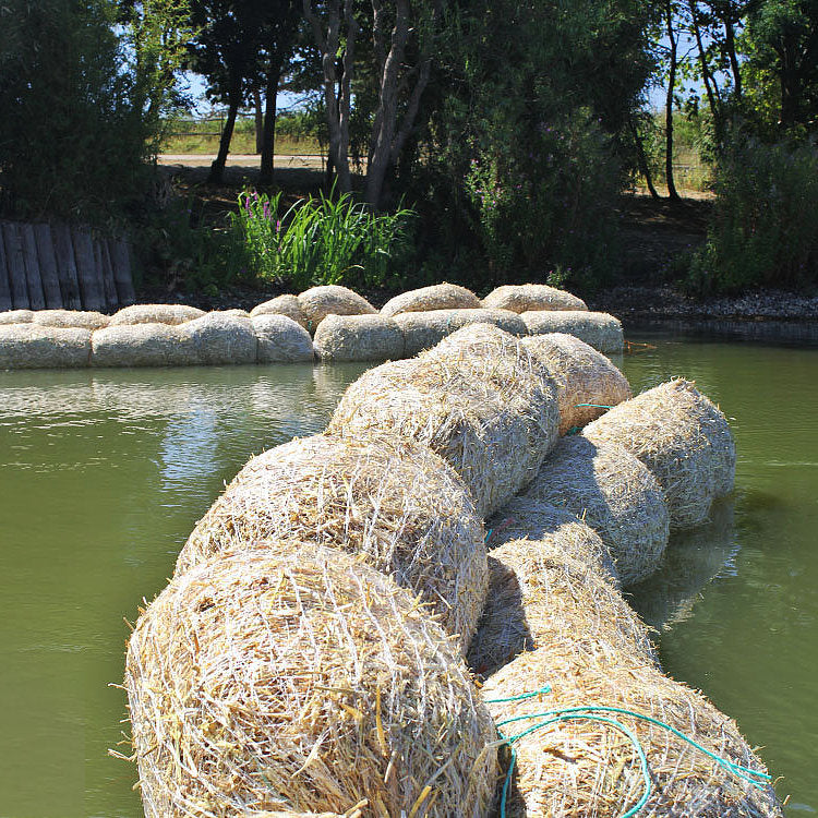 Netting Sleeve for Barley Straw to Control Algae