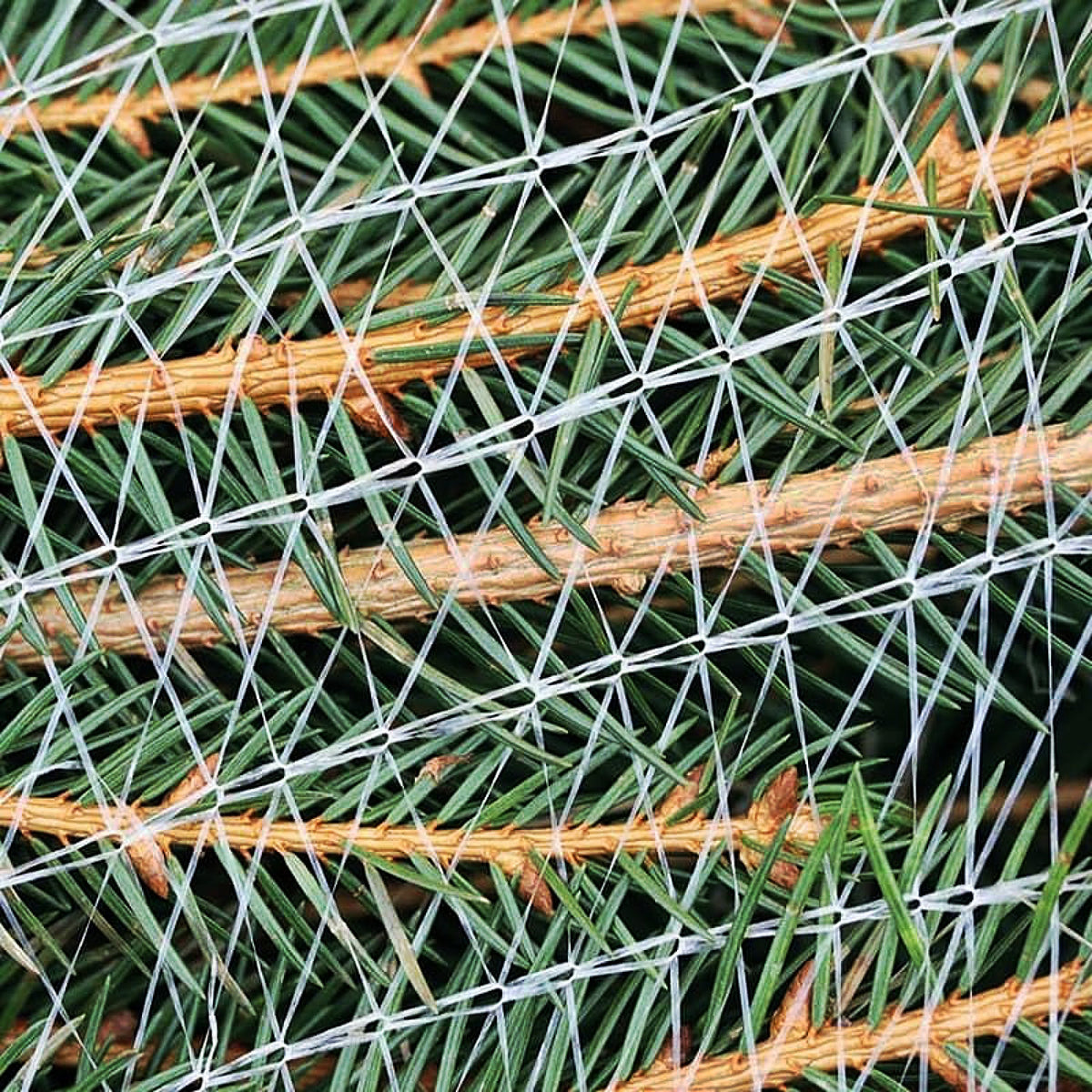 LZ Tape Christmas Tree Netting