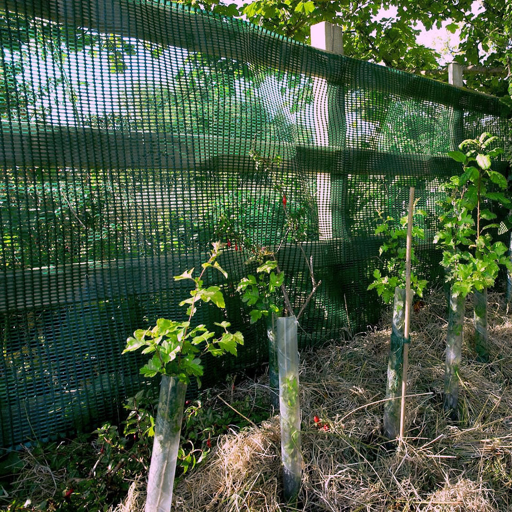 60% High Strength Windbreak Fence - Green