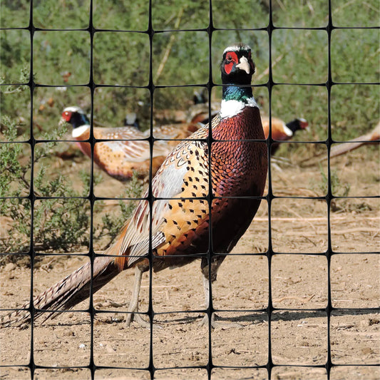 Jumbo Pheasant Netting 50mm Mesh