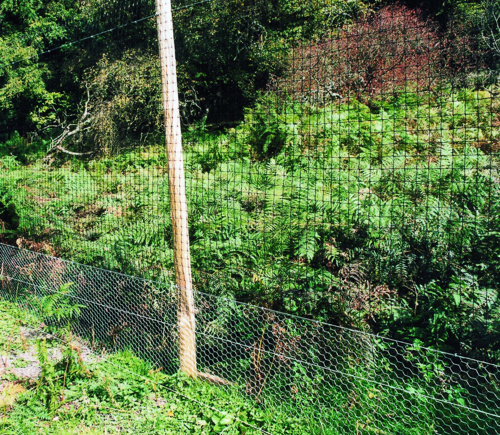 BOP Deer Poultry Game Netting Mesh Fence - Large 50mm Mesh