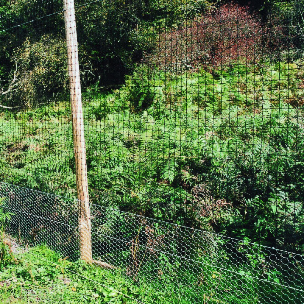 Pheasant Netting Fencing - Large Mesh