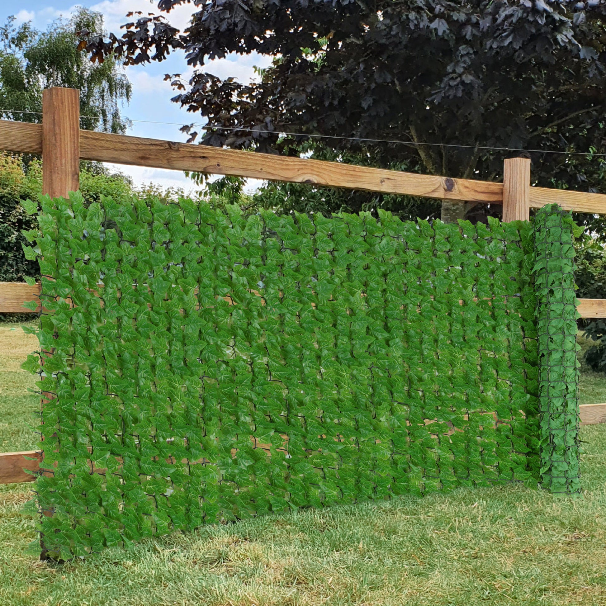 Premium Artificial Ivy Hedge Green - 3m