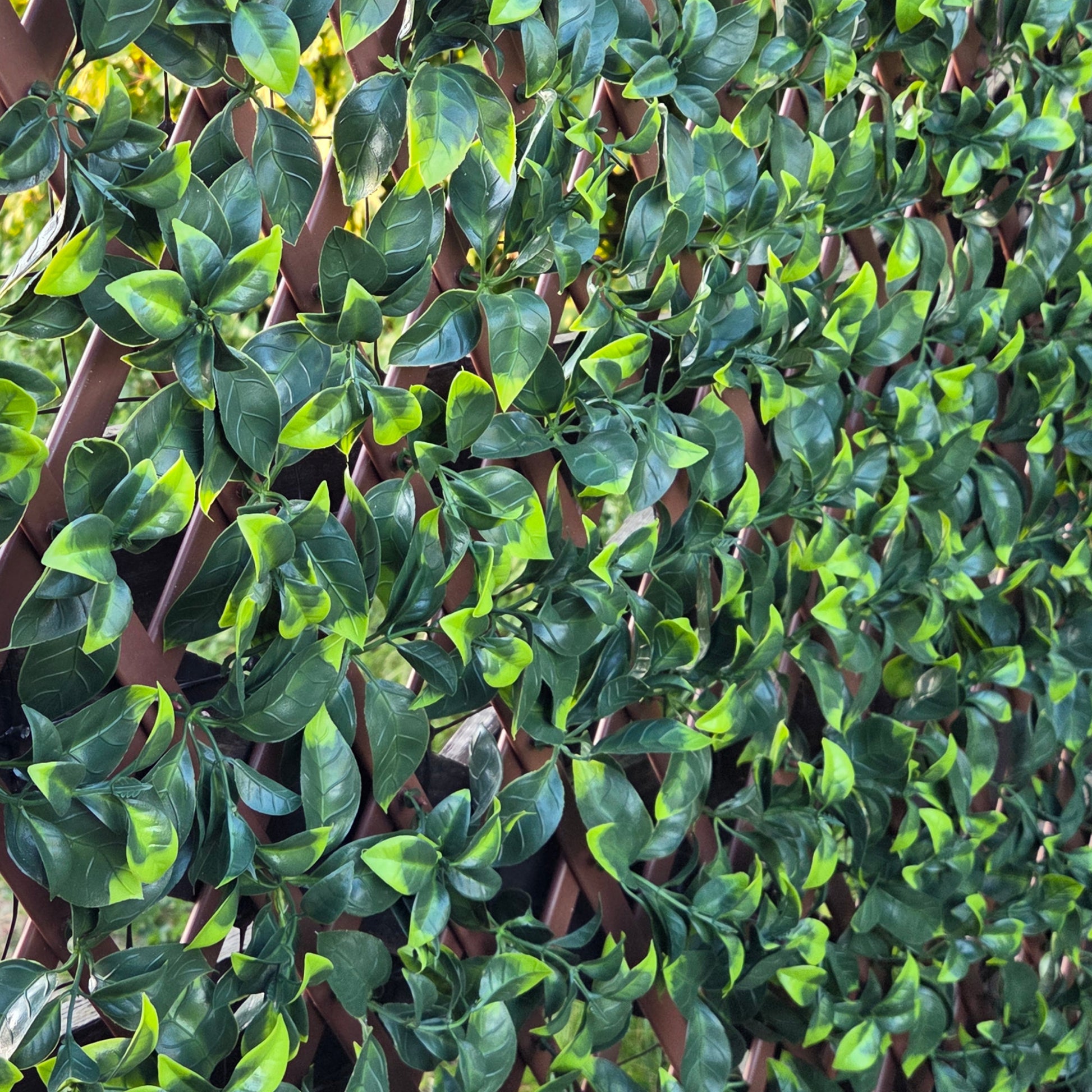 Expanding PVC Trellis Fence & Artificial Gardenia Leaf