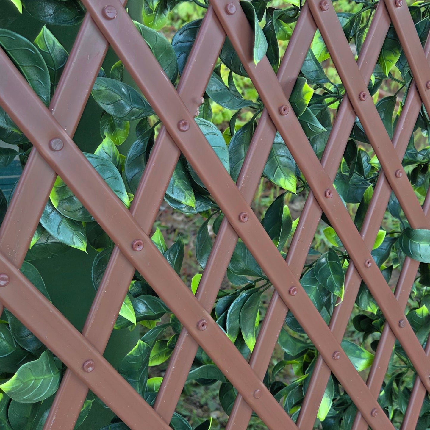 Expanding PVC Trellis Fence & Artificial Gardenia Leaf