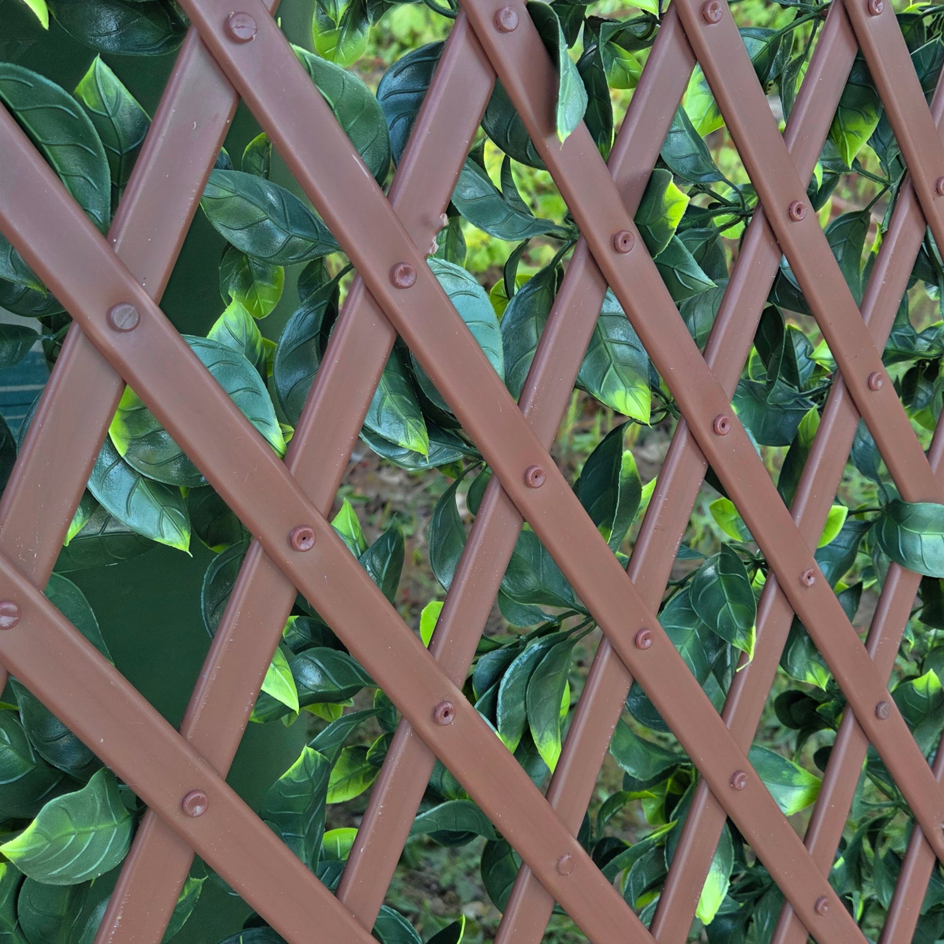 Expanding PVC Trellis Fence & Artificial Gardenia Leaf