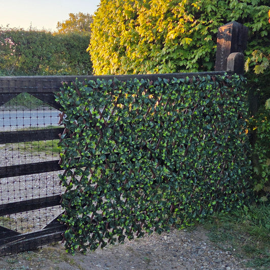 Expanding PVC Trellis Fence & Artificial Gardenia Leaf