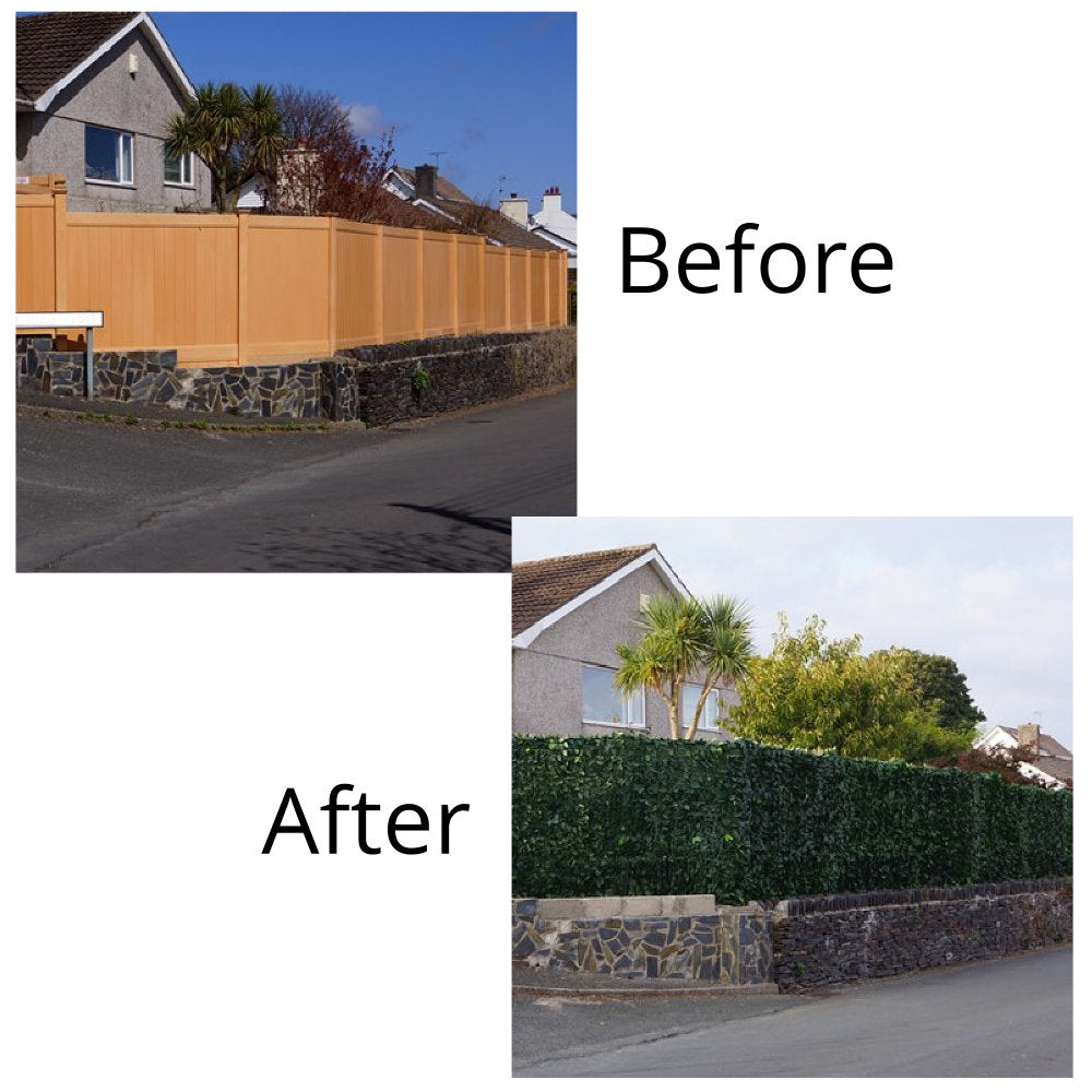 Ivy hedge Before and After