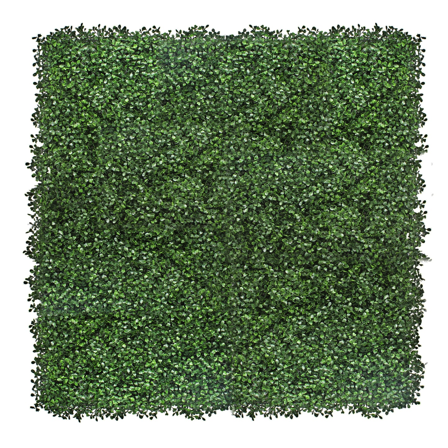 Artificial Boxwood Hedge & Wall Panel 1m x 1m