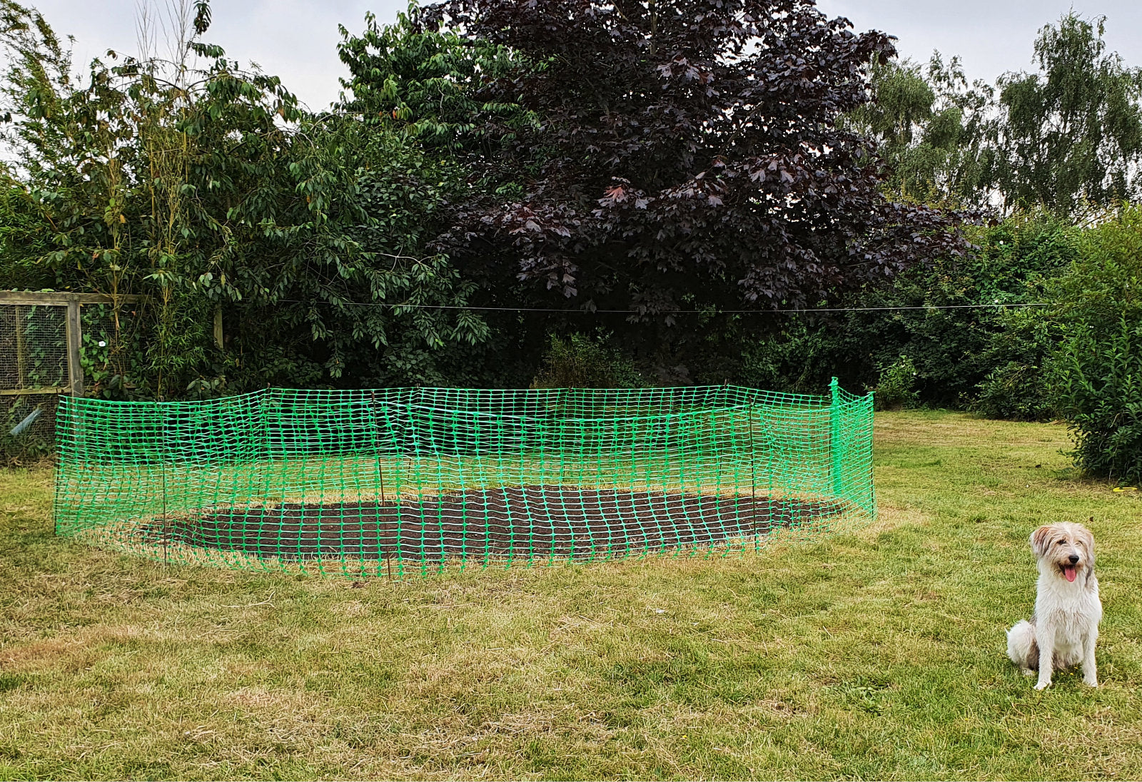 Green Barrier Mesh Fence & Metal Fencing Pins