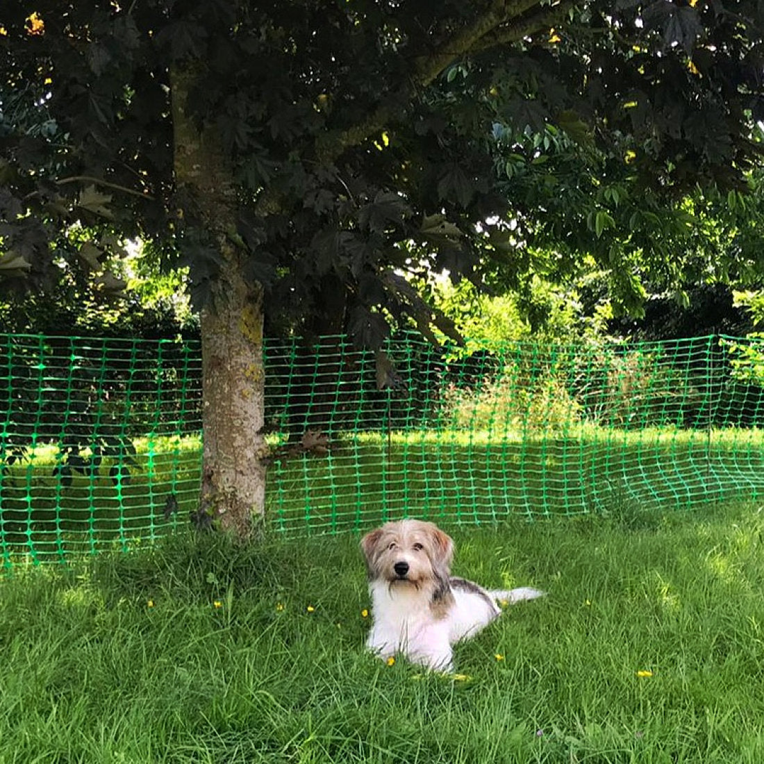 Fencing Pins 8mm - Pack of 10 – Premier Netting