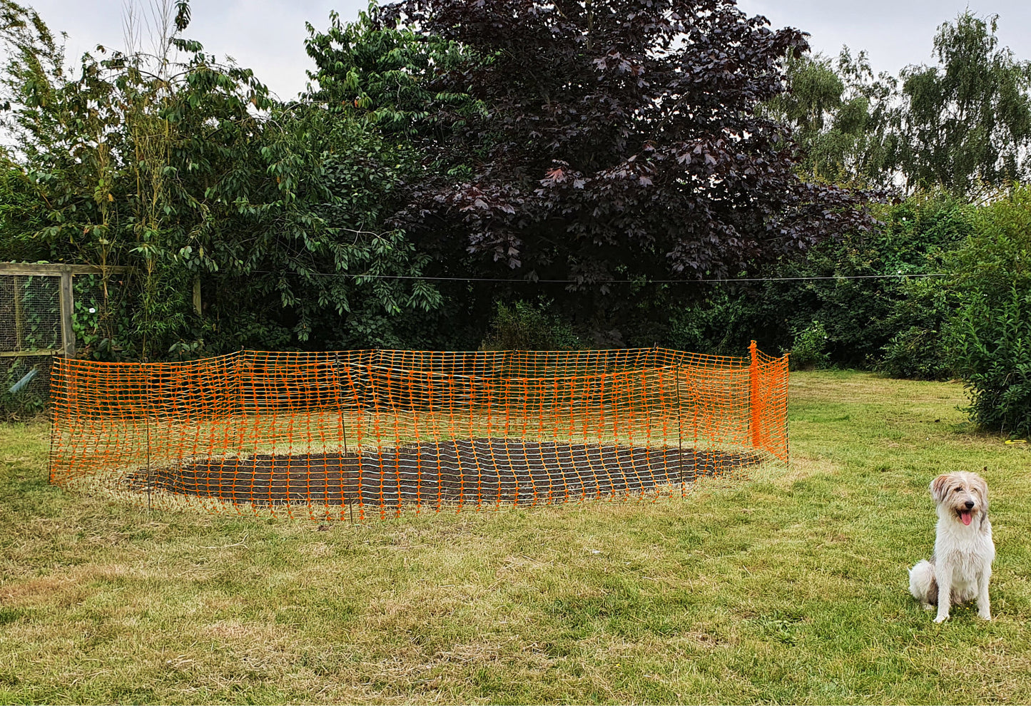 Orange Barrier Mesh Fence & Metal Fencing Pins