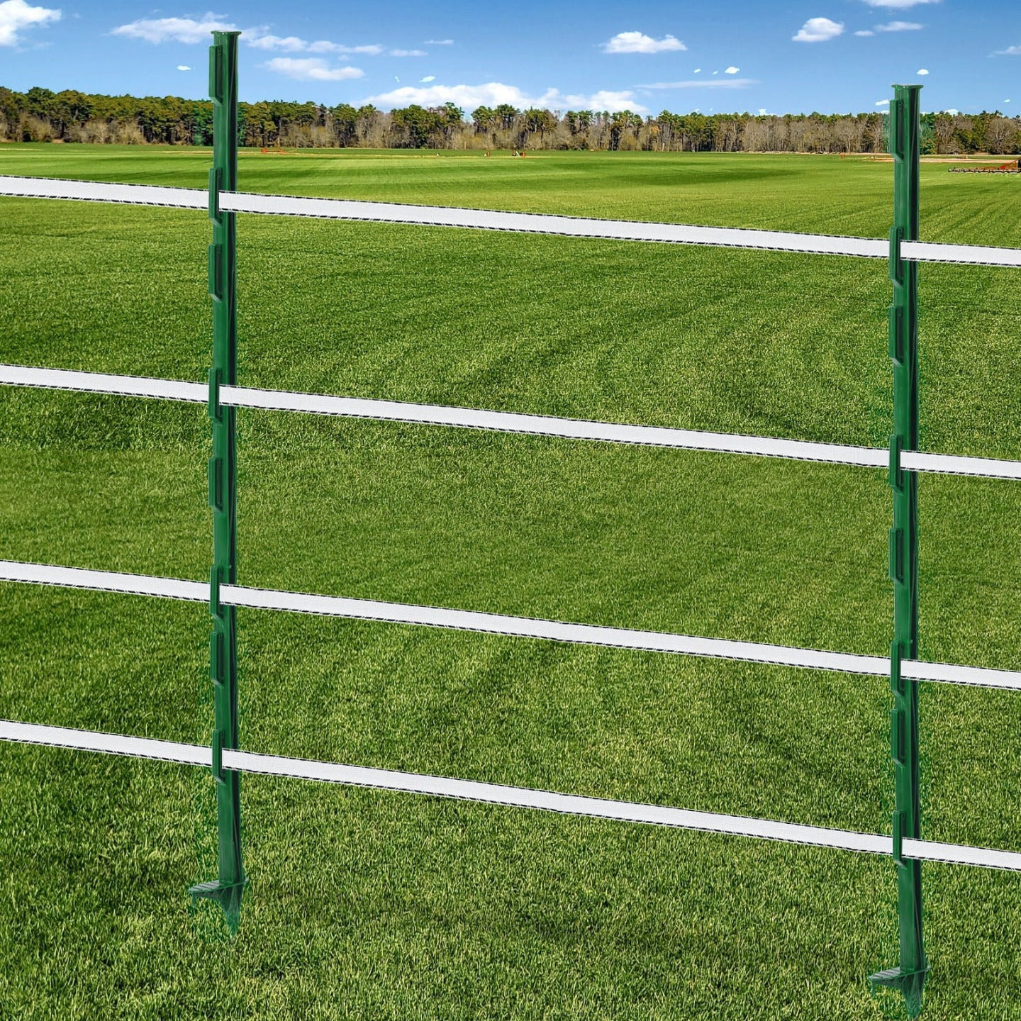 Green Plastic Posts for Electric Fencing