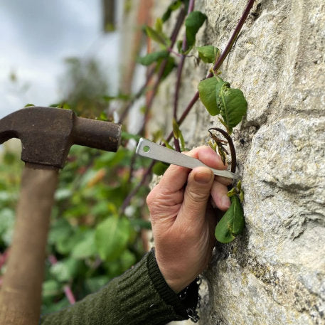 Vine Eyes 75mm Zinc Plated