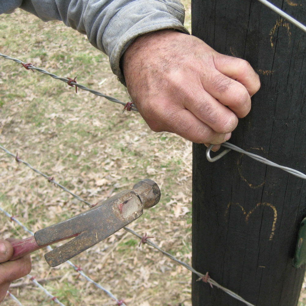 Galvanised U Staples for Wire Netting Fencing