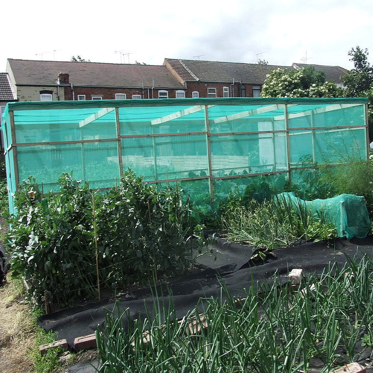 35% Knitted Windbreak Allotment Netting - Green