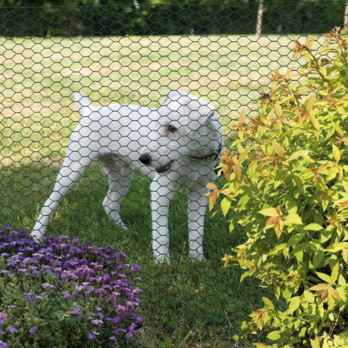 Green Plastic Coated Chicken Wire Netting
