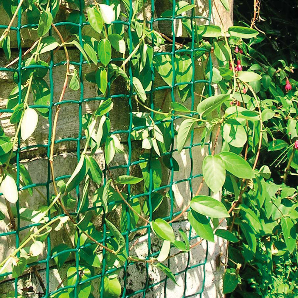 Climbing Plant Support Mesh - 50mm x 50mm - Green