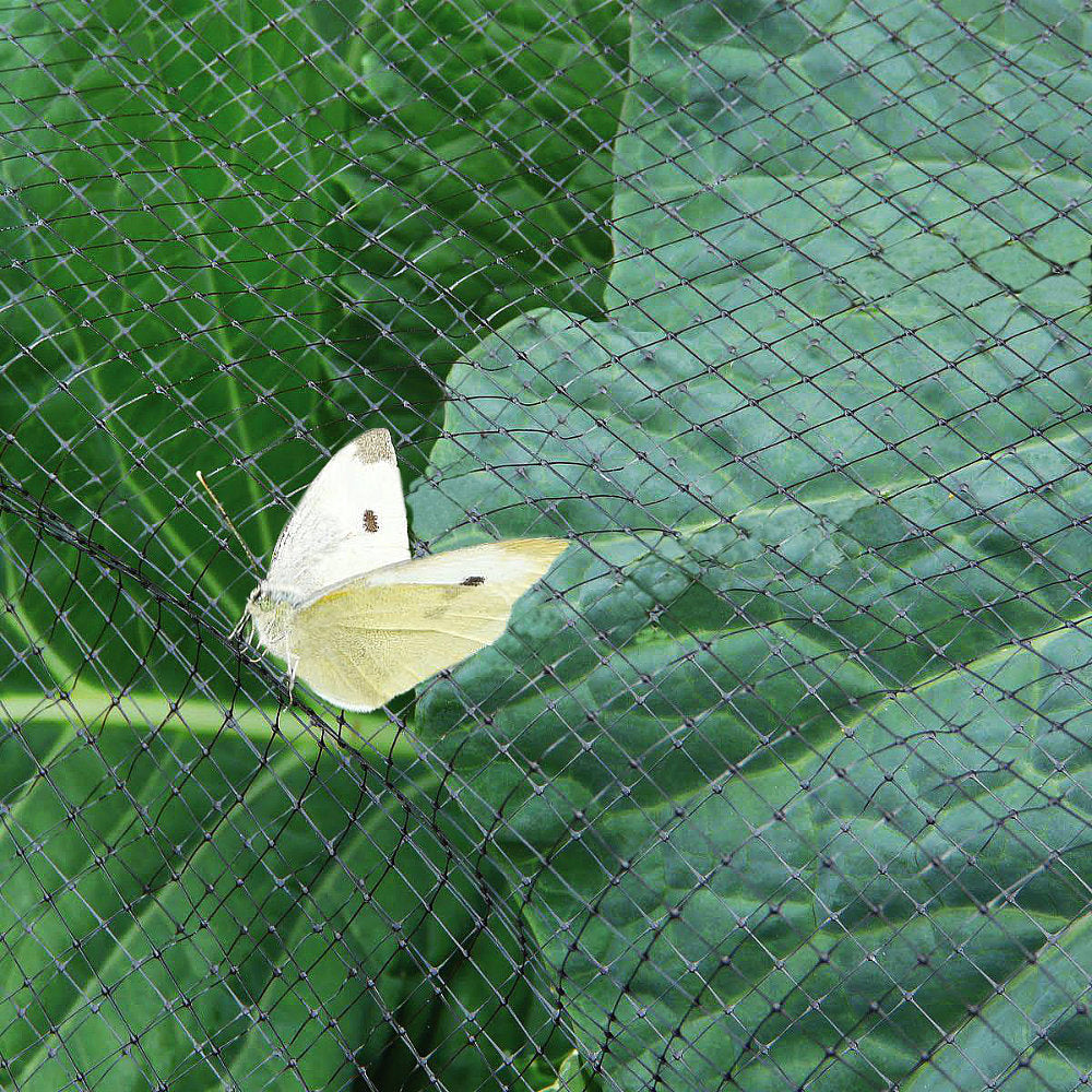 Anti-Butterfly Netting - 2m or 4m Wide by the METRE