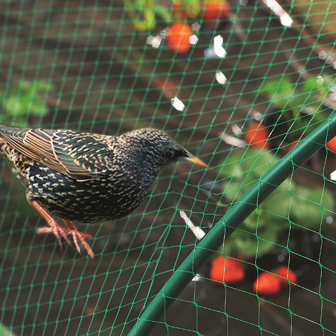 Anti Bird Pond Garden Netting - Green