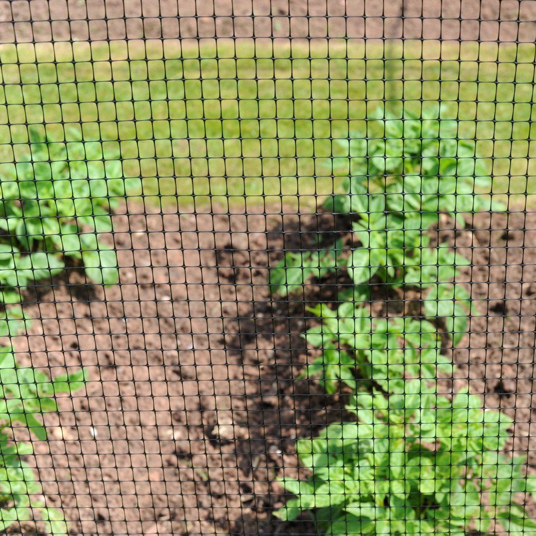 Berry Container Net Covers Heavy Duty Fruit & Cage Protection Netting Mesh – Premier Netting