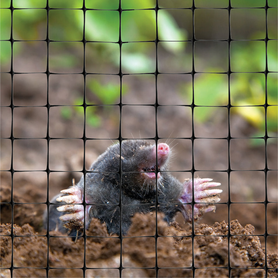 Anti Mole Netting