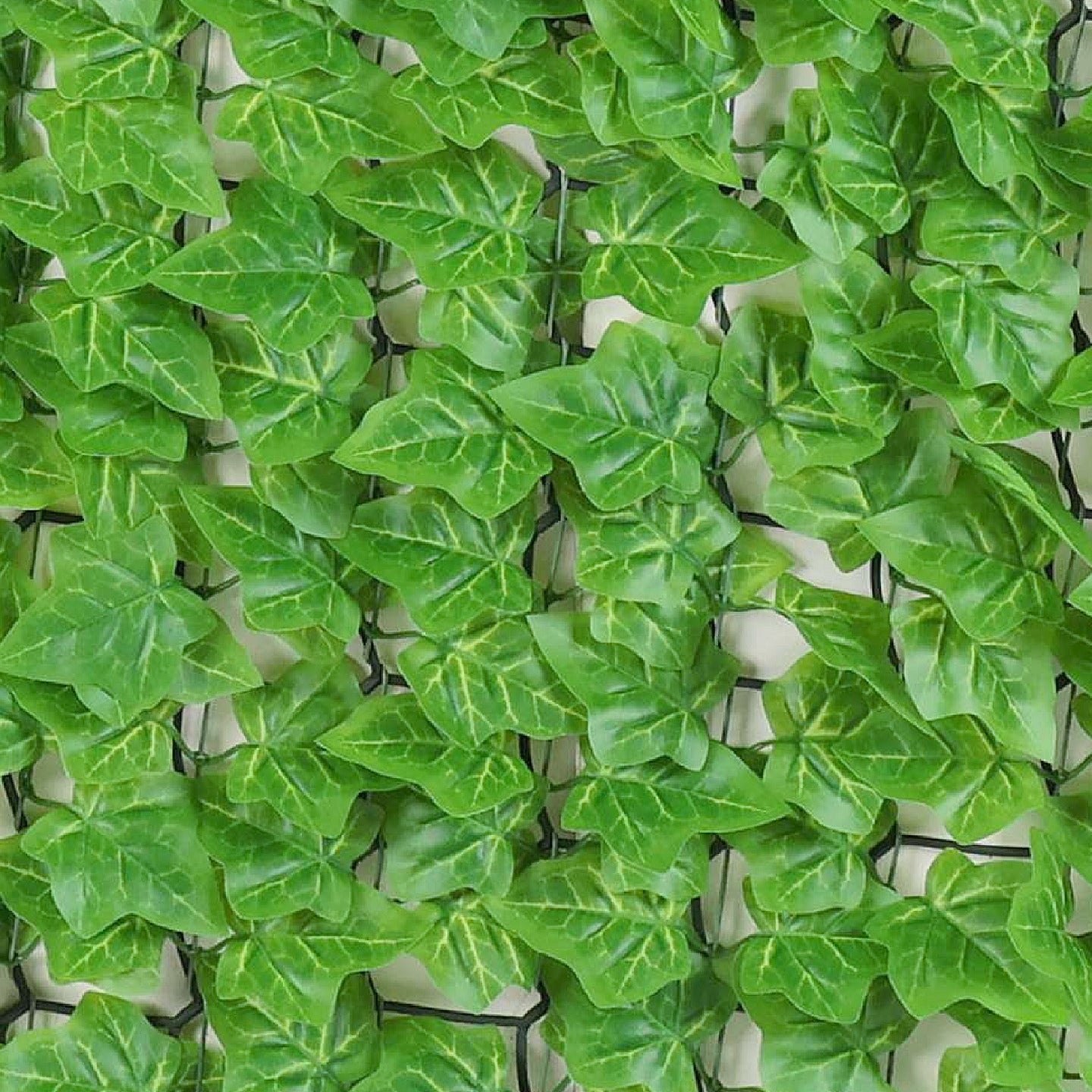 Premium Artificial Ivy Hedge Light Green 1m x 3m