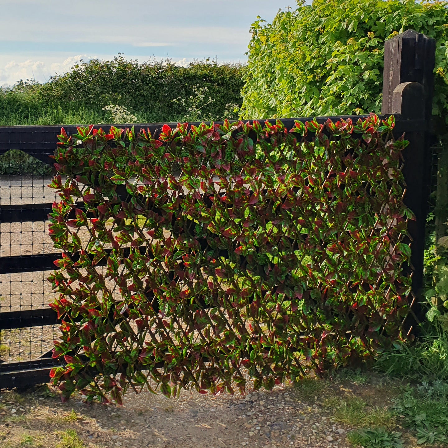 Artificial Red Photinia Expanding Willow Trellis Fence