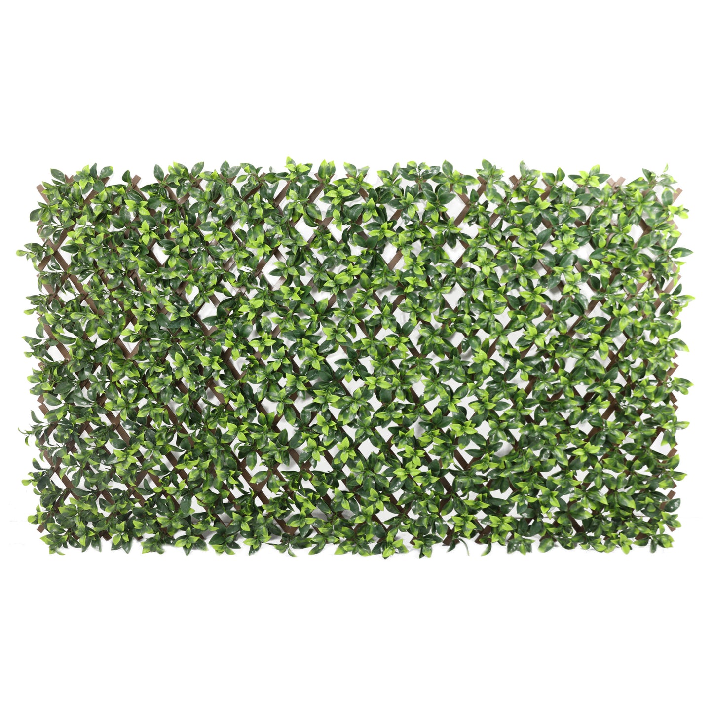 Expanding PVC Trellis Fence & Artificial Gardenia Leaf