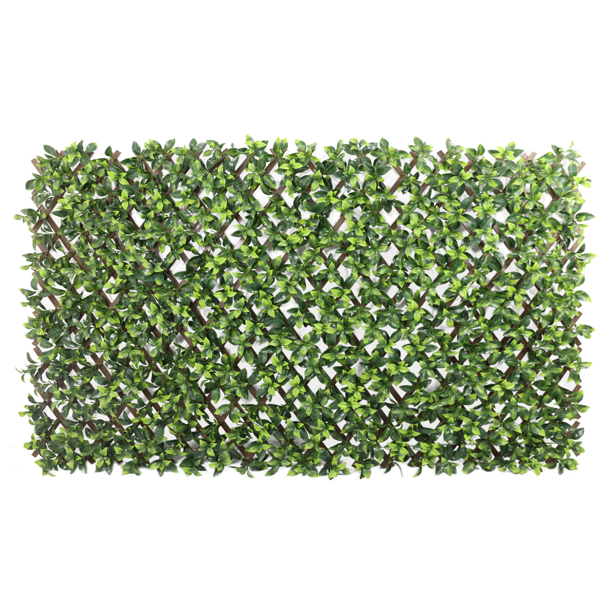 Expanding PVC Trellis Fence & Artificial Gardenia Leaf