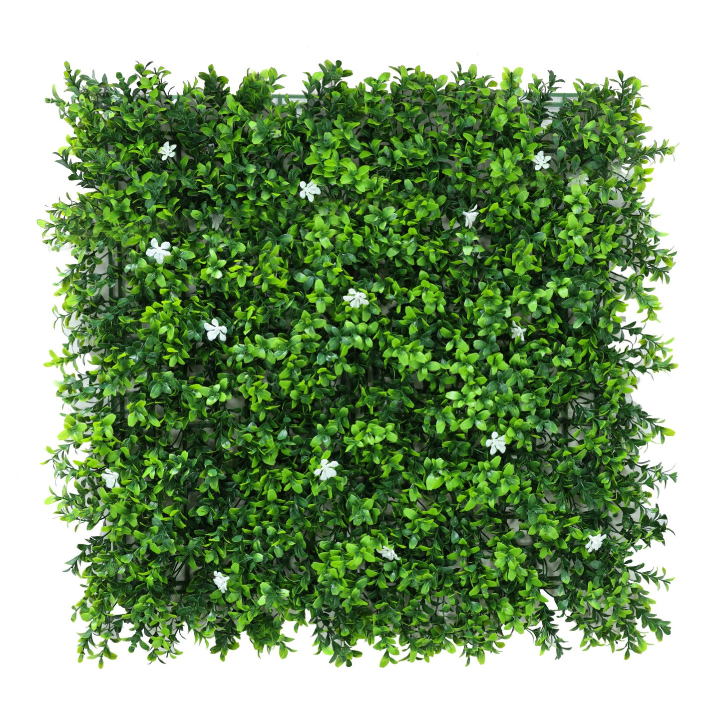 Premium Artificial White Flower Living Wall Panel 50cm x 50cm