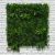 Premium Artificial Living Wall Green Hedge Panel 100 x 100cm