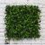 Artificial Green Living Wall Hedge Ivy Panel 50 x 50cm